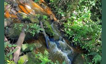 Imagem: Casa de condomínio para venda possui 600