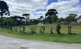 Imagem: Vendas Terreno Campo Largo PR
