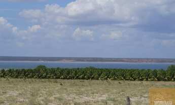 Imagem 7: Fazenda à Venda 16.000 Hectares em Ibó-abare , Bahia projetos de energia solar, refloresta