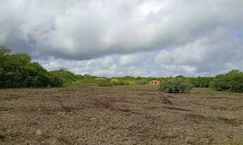 Imagem 2: Terreno no trairi