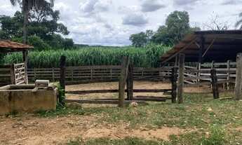 Imagem 2: Fazenda 213ha, com casa sede e casa de caseiro, duas nascentes, represa, Jaboticatubas