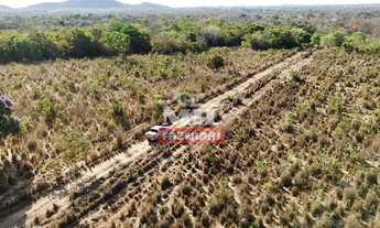 Imagem 5: Fazenda 420 ( 2.032,80 hectares ) Porangatu - GO