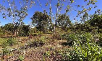 Imagem 3: Terreno em Manacapura /Beira de Pista Estrada 10Hec
