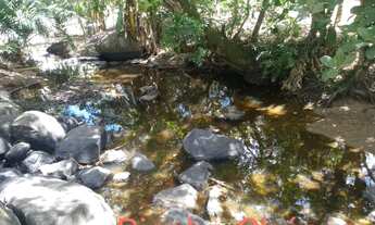 Imagem 5: Alugo chácara por temporada com 3 quartos no Povoado Bananal, Viçosa-AL