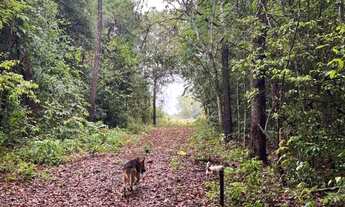 Imagem 5: Excelente Rancho na Serra da Mesa