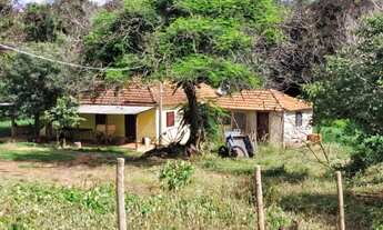 Imagem 3: Fazenda à venda em Monte Alegre de Minas