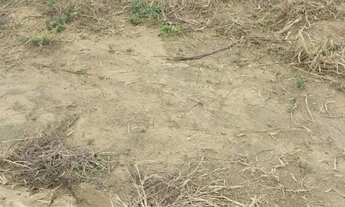 Imagem 4: TERRENO Marataizes 10x20 30mil