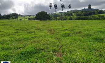 Imagem 4: Chácara à Venda em Taquaral-GO