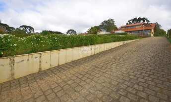 Imagem 2: Vendas Chácara Almirante Tamandaré PR