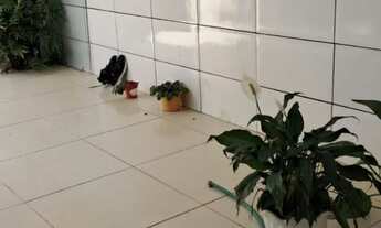 Imagem 4: Casa Vizinho Bairro São Judas.