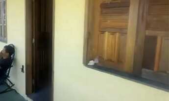 Imagem 4: Sítio Japaratuba - chacara interior - terreno