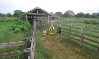 Imagem 5: Fazenda à venda - Zona Rural - Poconé - MT