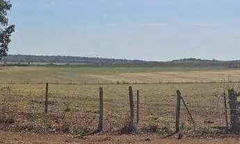 Imagem 7: Excelente fazenda dupla aptidão com 517 hectares e ótimas estruturas à venda em Paracatu