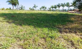 Imagem 5: VENDO CHÁCARA CAÇAPAVA