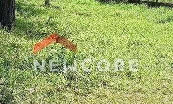 Imagem 4: Lote em Estrada elias ficher - palmeirinha - Juquitiba/SP