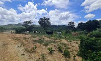 Imagem 2: Fazenda de cria e recria, 105 alqueires , Vila Propício, GO