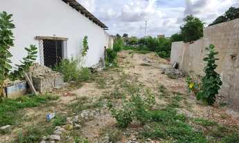 Imagem 5: TERRENO C/ GALPÃO - área total: 3.600m²