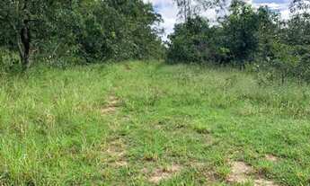 Imagem 4: Fazenda à venda no município de Campina Verde com 112 alqueires