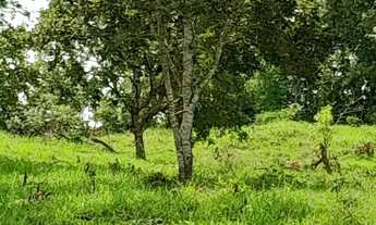 Imagem 7: Fazenda à venda próximo a Padre Bernardo