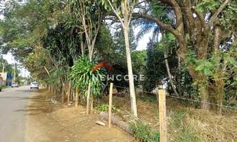 Imagem: Lote em Rua Pedro Antônio - Sapé I - Caçapava/SP