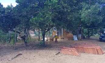 Imagem 7: Sitio Com Preco de Chácara!!!30 Minutos montes claros-Permuta Por Imovel Urbano