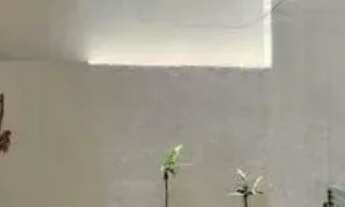 Imagem 6: CASA ASSOBRADADA - VILA CLEMENTINO - SP