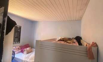 Imagem 7: Casa jardim centro oeste