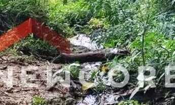 Imagem 5: Sítio em Rua Saldanha Marinho - Centro - Itapetininga/SP