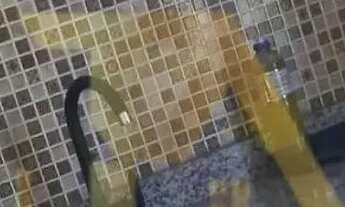 Imagem 5: Oportunidade Única: Pousada à Venda em Garopaba-SC, Bairro Limpa - 1 Sala, 1 Banheiro, 1 V