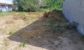 Imagem 2: Terreno 6 por 25 a 300 metros da noide
