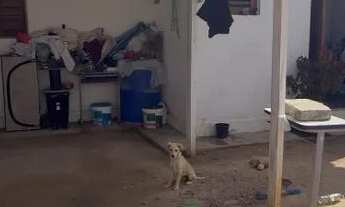 Imagem: Casa Em Reforma a Venda