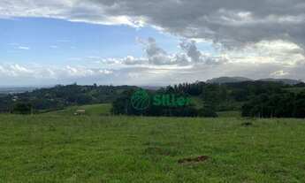 Imagem 7: Área de 5 hectares a venda a 4,5 km da 020
