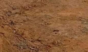 Imagem 4: Terreno31mx32mvazea verde