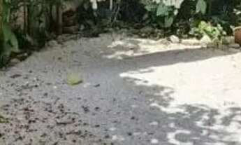 Imagem 3: CASA EM CONDOMÍNIO - JARDIM COLIBRI - SP