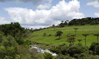Imagem: Belíssimo Terreno em Urupema
