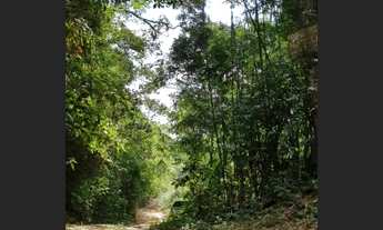 Imagem 4: Lindo Sítio na Toca da Onça - Lumiar RJ