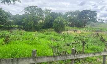 Imagem 5: Fazenda Jaguaraçu/MG (estrada p/ Cava Grande