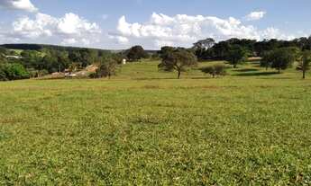 Imagem 3: Fazenda 142 Alqueires Região de Bauru - SP