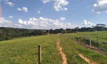 Imagem 4: Fazenda 142 Alqueires Região de Bauru - SP