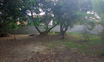 Imagem: Vendo Lote Pedrinhas