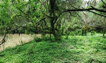 Imagem 4: Belíssimo Terreno em Urupema