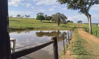 Imagem 2: Oportunidade Vendo Sítio com Área de 15.7 alqueires na região de Bauru