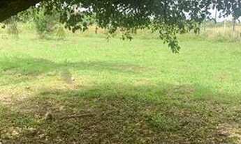 Imagem 4: Vendo 3 há proximo a Praia - raposa