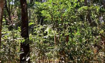 Imagem 7: Lote em Condomínio à venda, Pasárgada - Nova Lima/MG