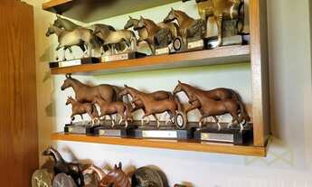 Imagem 5: Haras - Aleluia dos Tavares - Quadra