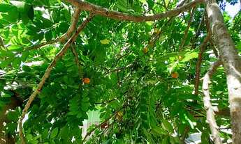 Imagem 5: Casa com amplo quintal 120 metros 2 quartos em Barra Nova - Saquarema - RJ