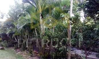 Imagem 5: Chácara - Chácaras Cruzeiro do Sul - Campinas