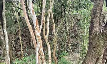Imagem 6: Lote em Condomínio à venda, Ipê Amarelo - Esmeraldas/MG