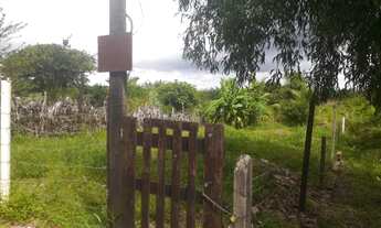 Imagem 2: Vende-se um terreno