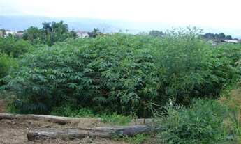 Imagem 5: Casa Padrão em Pindamonhangaba